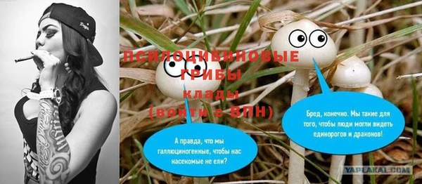 первитин Богородицк